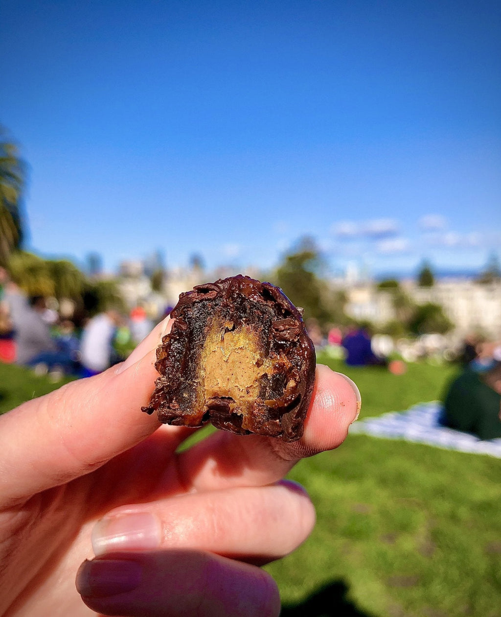 Spiced Dark Chocolate Stuffed Medjool Dates - 8 Pack